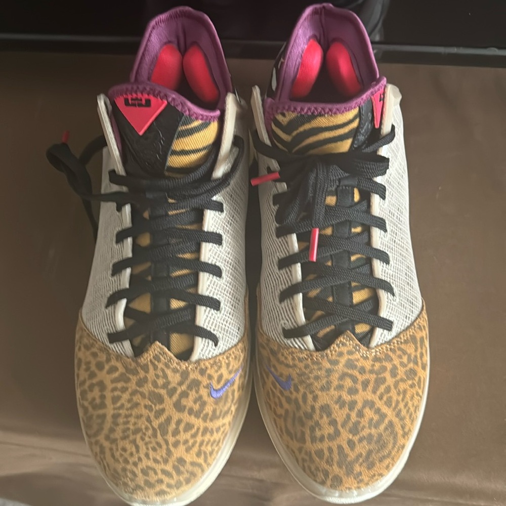 Lebron Nikes Men 9.5